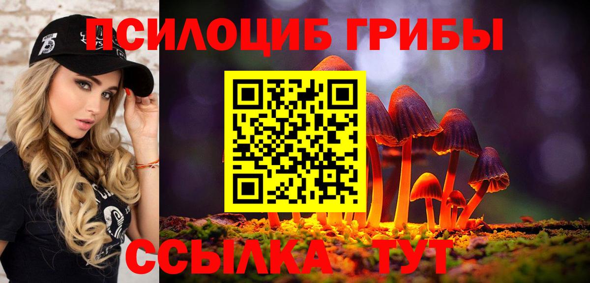 Анжеро-Судженск  Галлюциногенные грибы Psilocybe  Вход с VPN  Псилоцибиновые грибы Psilocybine cubensis 