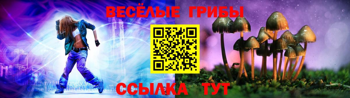 Псилоцибиновые грибы Psilocybe Анжеро-Судженск